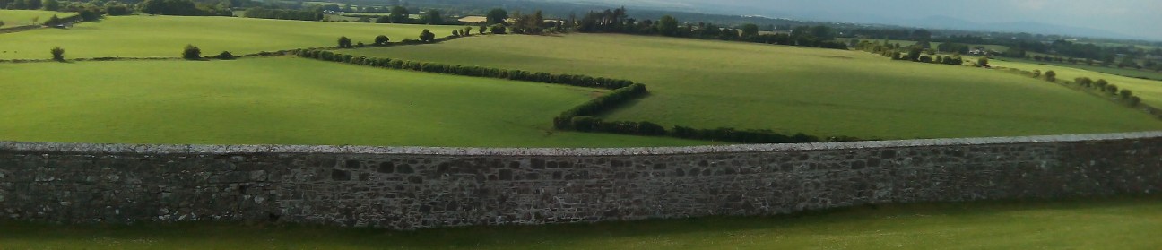 img_20150701_173650-copy